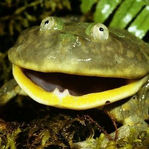 Meet your Posher, Evan